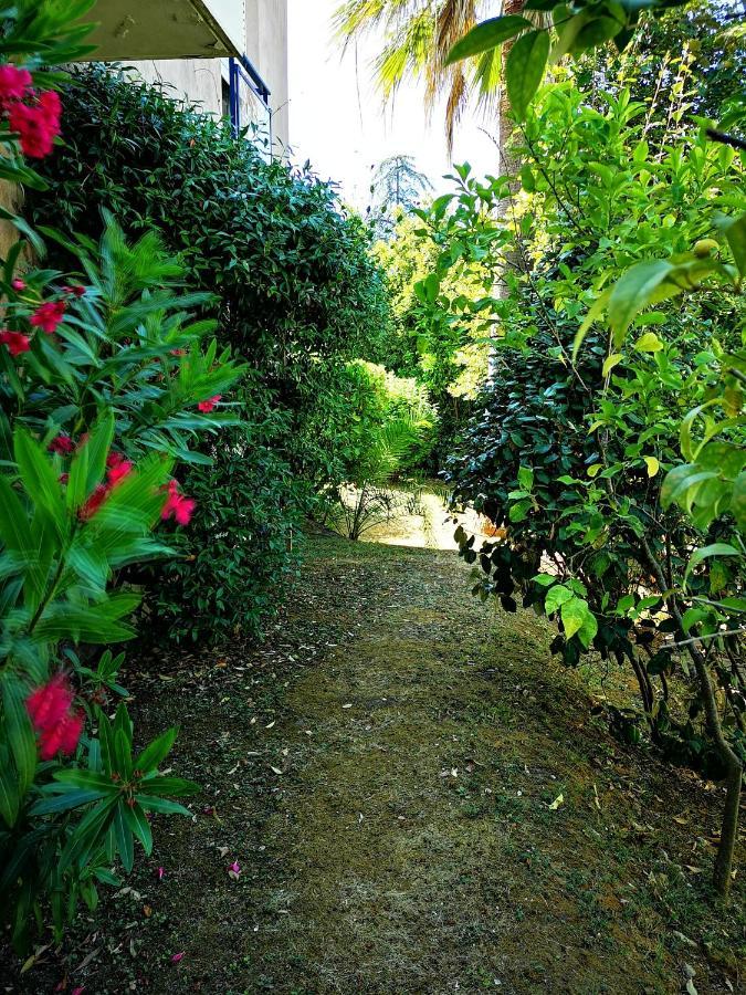 Plage la Salis 3 chambres, Jardin - 3 bedrooms Antibes Buitenkant foto